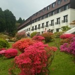 5月中旬頃は山のホテルでツツジやシャクナゲを見ることができます。