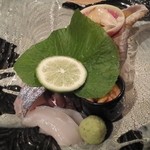 SUSUKINO いとや - 刺身とフンコロガシ