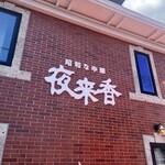 夜来香 - 