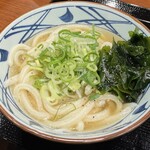丸亀製麺 - 料理写真:冷たーい旨塩うどん（590円）