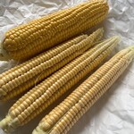 及川農園 - 手前が生の8列とうきび(200円)、奥は比較用にアンビシャスファームの恵味ゴールド