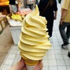 에히메 카지츠 클라부 미칸노 키 혼텐 - 