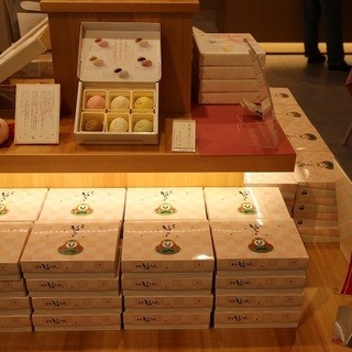 金澤 福うさぎ_2