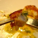 レフェルヴェソンス - ［１回目］おでかけ(7800円)・花たち〜アイナメをプリッと焼いて桜の花のブールブランと蕗の薹のピュレ、山独活、八朔の葉のオイル、白味噌のエミュルション、野生の胡椒、パンプルネル