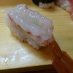吹き寄せ寿司 - 牡丹海老