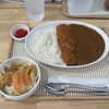小さなカレー屋さん - 