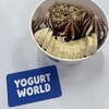 YOGURT WORLD 松山大街道店