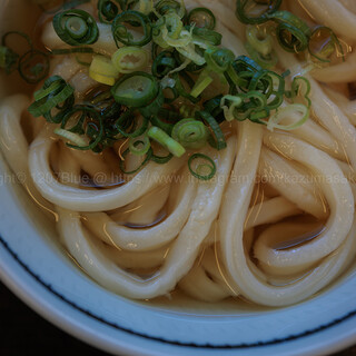 宮武うどん_1
