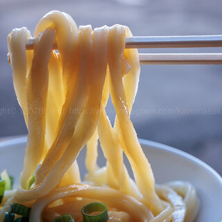 手打うどん たむら_1