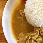 レディバード - 料理写真:カツカレー　左