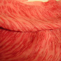 モリタ屋 木屋町店 - すき焼き梅コース