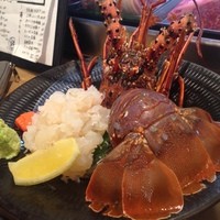 あまの - 活伊勢海老刺し