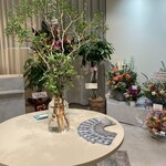 PAN NOMA. - 