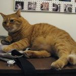 たまゆらん - サヴォン君(2015.05)