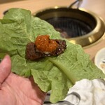 코지마 하나레 한신 니시노미야