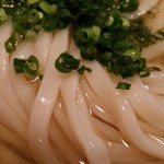 讃岐饂飩 恩家 - うどんのアップ