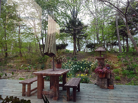 倉沼cafe（クラヌマカフェ） - 東旭川（カフェ）の写真