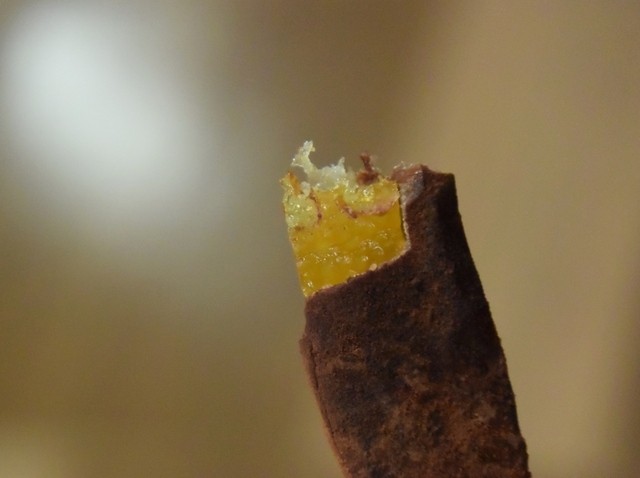 Mon Loire Ion Moru Ibaraki Ten photo 3