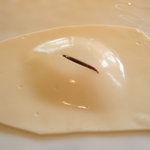 キュイジーヌ[s] ミッシェル・トロワグロ - 2010/04 豆腐　トリュフ風味の赤ワインソース(正式名称は不明)。