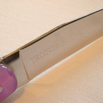 キュイジーヌ[s] ミッシェル・トロワグロ - 2010/04 肉料理のナイフ。