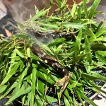 御料理ふじ居
