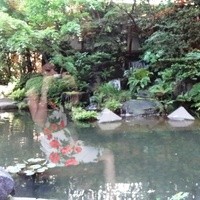 日本料理「雲海」 - 