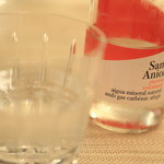 BRILLANTE IL SUZUKI - 「Sant Aniol サンタニオル ガス入りウォーター」