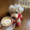 EK COFFEE