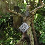 Bekkan Saryou Otatsu - お庭