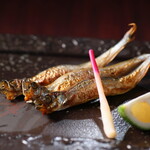 ホタル火 - 