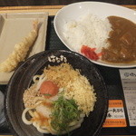 はなまるうどん - 明太おろししょうゆ小＆カレー＆エビ天(定期券で無料)で530円(2015.5.14)