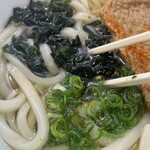 マドンナ亭 - じゃこ天うどん(680円)
