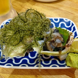むとう_0