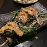 魚地心 - 
