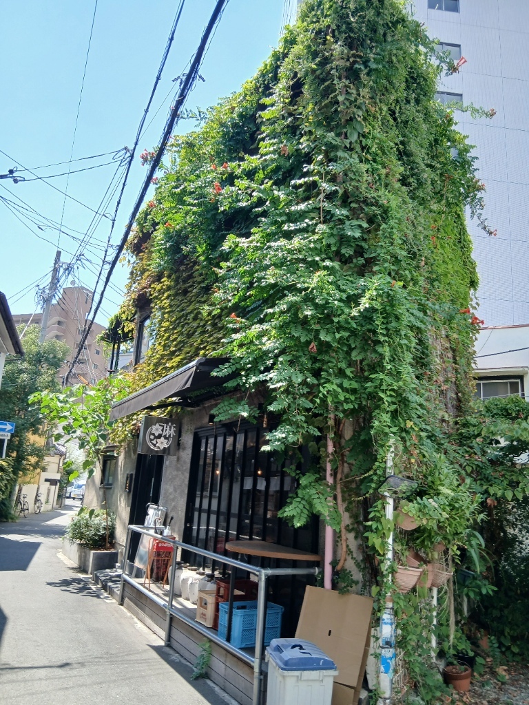写真 6ページ目 : N山総本家 N山大介 福島本店 （NyamaDaisuke） - 新