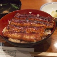 吉寅 - M9