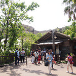 ロストリバークックハウス - ロストリバークックハウス