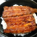 鰻 小林 - 浜名湖産の天然物