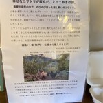 グーテ･ラウネ - 卵の説明　箱代が別途150円