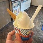 ドルチェ耕三寺店 - 料理写真:ダブル(伯方の塩と瀬戸田のレモン)