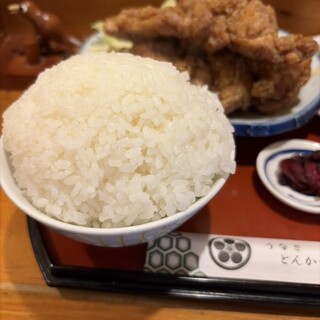 うなぎ とんかつ 濱亀_1
