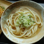 保製麺所 - 料理写真:かけ380円＋かき揚げ150円