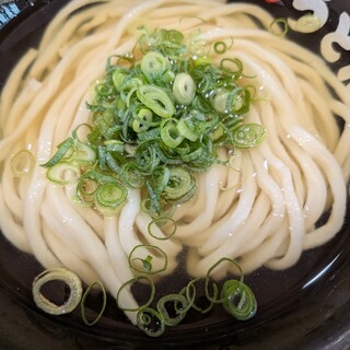 うどん大学_0