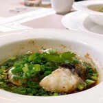 施家菜 - 本日の海鮮料理