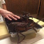 中善 - 2015年5月。伊勢海老。