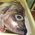 味あら井 - ツボだい！可愛い