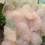 虎魚の生き造り