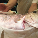 味あら井 - 白甘鯛  これね、神