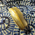 香取鮨 - 三皿目、初めて戴きました