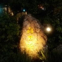 向日葵 - 